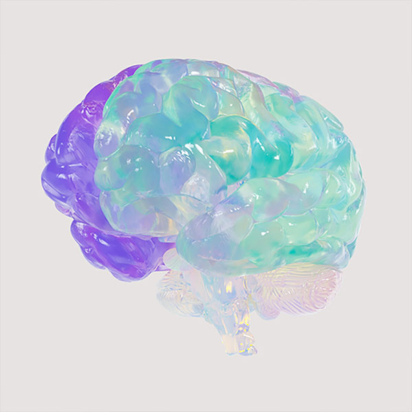 Brainpower Brainpower