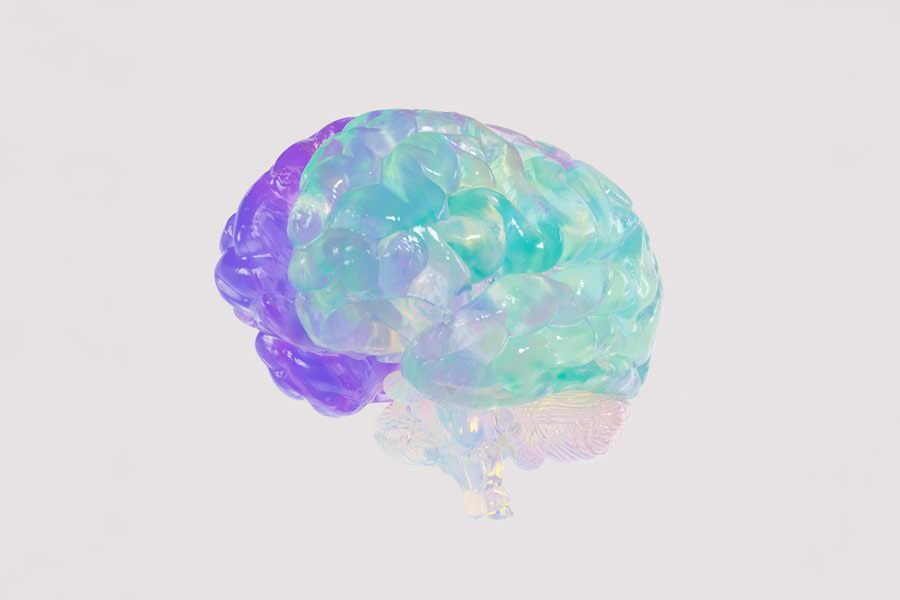 Brainpower Brainpower